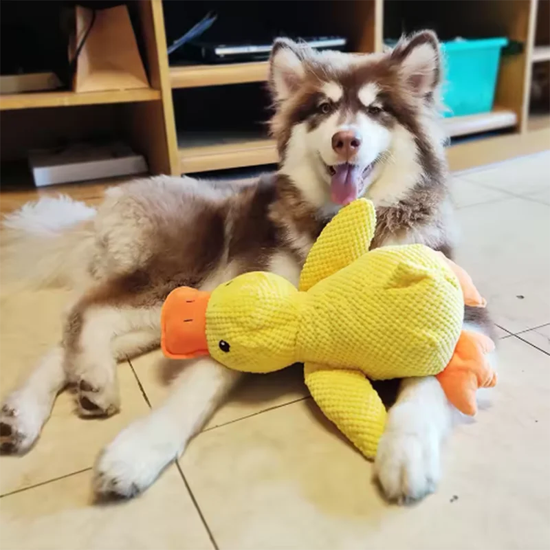 Interactive Plush Dog Toy